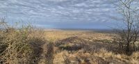 258 Morgenstimmung Tsavo West