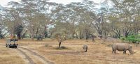 26 Solio Rhino Sanctuary