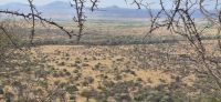 262 Poachers Lookout