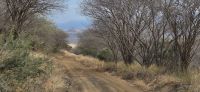 263 Poachers Lookout