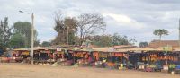277 Unterwegs in Kenia
