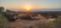 287 Sonnenuntergang in Tsavo West