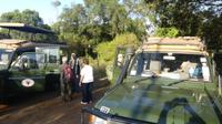 29.9. Aufbruch im Mara Bush Camp
