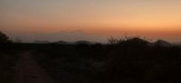 290 Kilimandscharo am Horizont