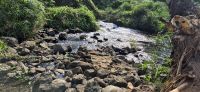 298 Quelle entspringt aus den Chyulu Springs