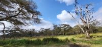 30 Solio Rhino Sanctuary