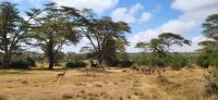 31 Solio Rhino Sanctuary