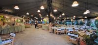 355 Kibo Safari Camp