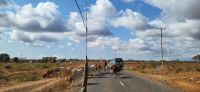 359 Fahrt nach Tsavo West
