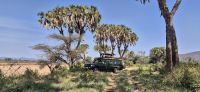 36 unterwegs mit unserem Toyota Landcruiser