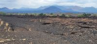 369 Shenatani Lavafeld