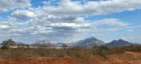 377 Safari Tsavo West