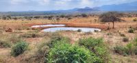 396 Wasserloch Kilaguni Lodge