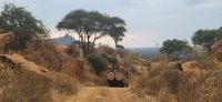 403 herrliche Strecken in Tsavo West