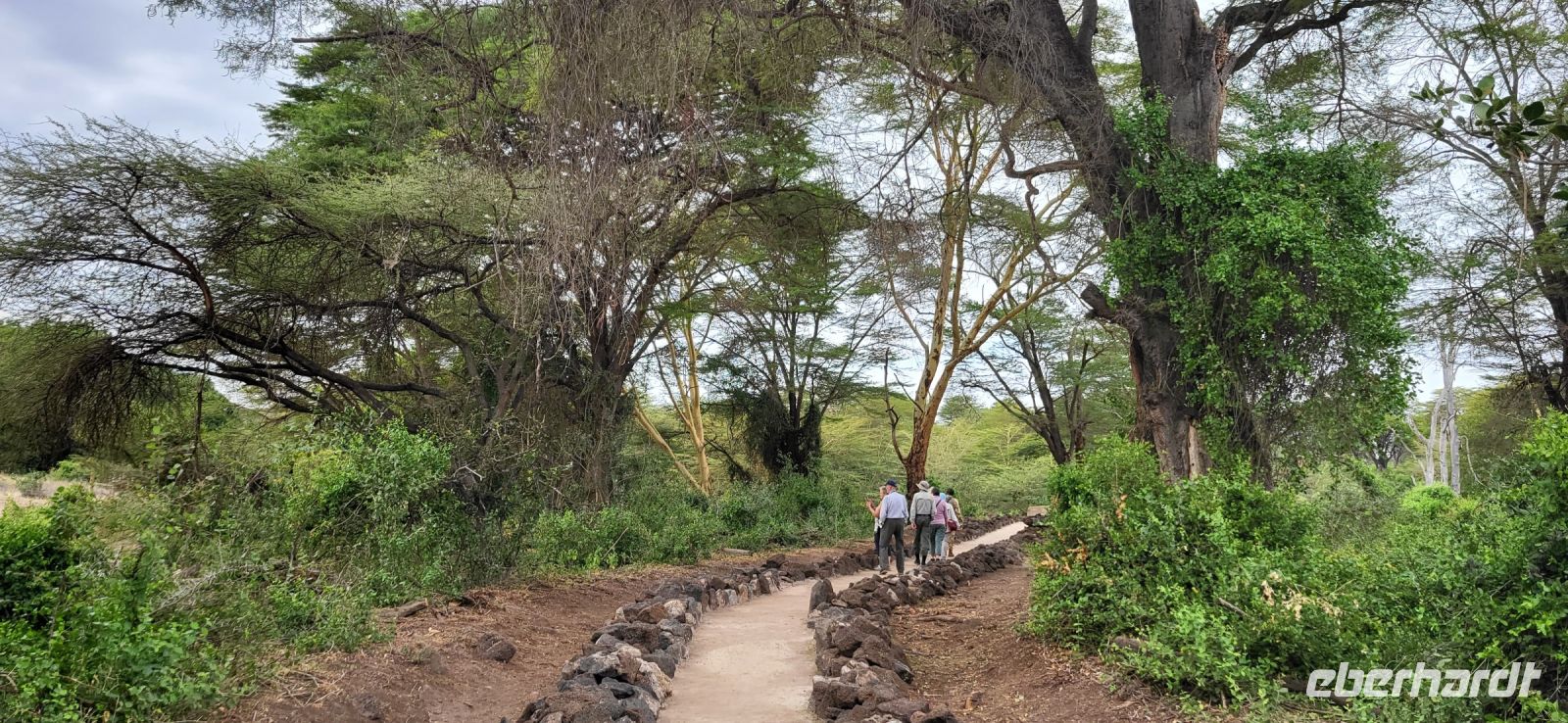 457 Mzima Springs