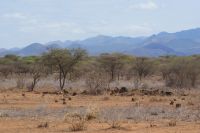 468 Chyulu Hills