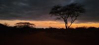 482 Abendstimmung mit Blick auf Kilimandscharo