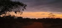 483 Abendstimmung mit Blick auf Kilimandscharo
