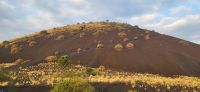 494 Vulkan Tsavo West