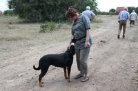 Auf der Sandai Ranch