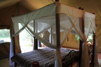 Flamingo Hill Camp im Nakuru Nationalpark