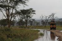 Nakuru Nationalpark
