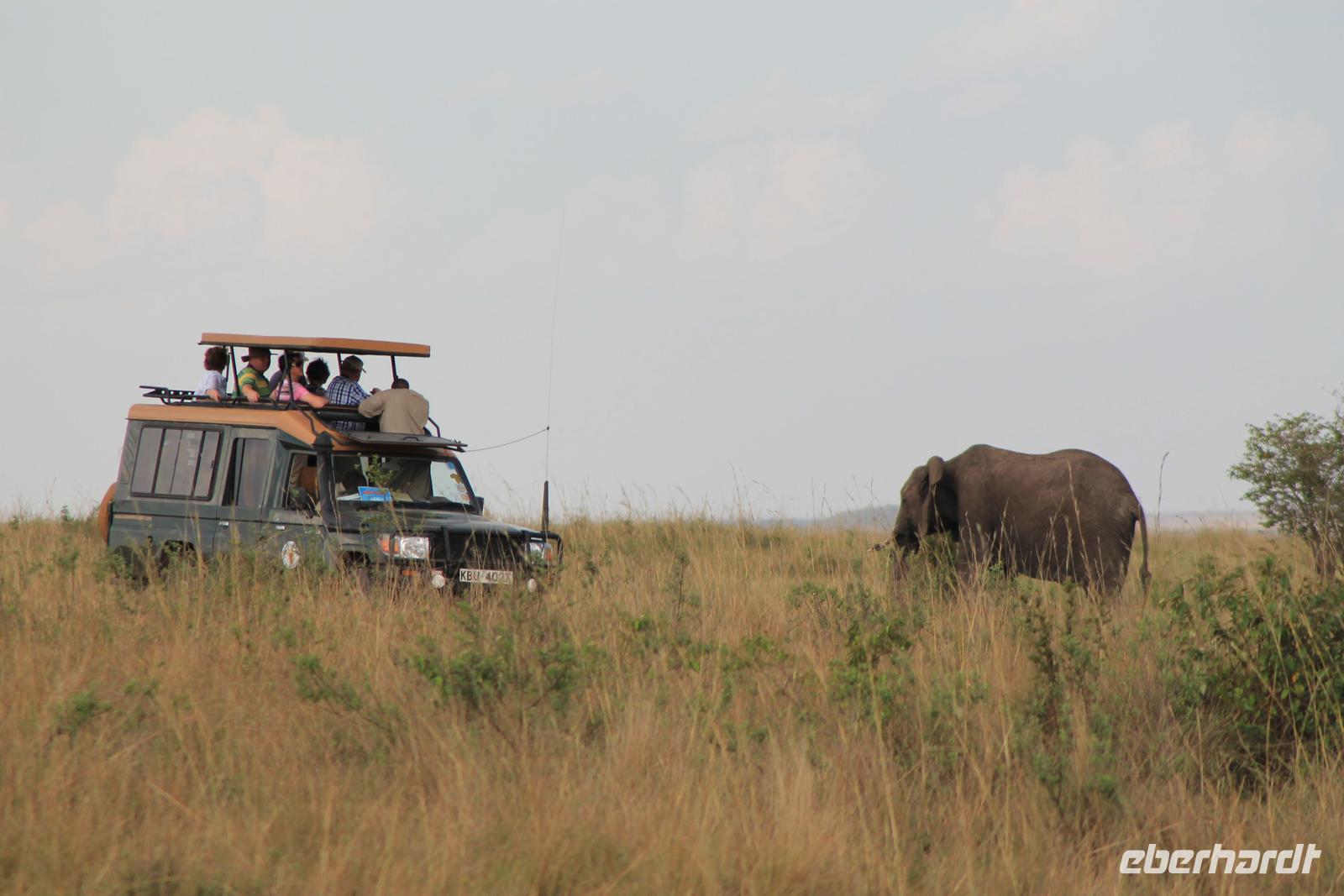 Masai Mara - Becci im Angesicht des Elefanten