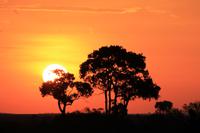 Masai Mara - Sonnenuntergang