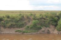 Masai Mara - große Wanderung im Hintergrund, vorn Mara Fluss