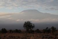 Amboseli Nationalpark - Kilimandscharo am Morgen