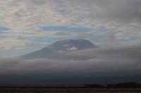 Amboseli Nationalpark - Kilimandscharo am Morgen