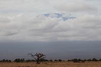 Amboseli Nationalpark - Kilimandscharo