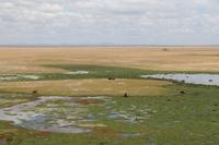 Amboseli Nationalpark - Blick vom Observation Hill