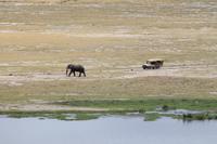 Amboseli Nationalpark - Blick vom Observation Hill