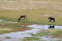 Amboseli Nationalpark - Blick vom Observation Hill