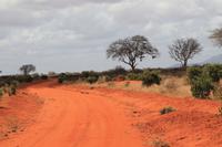 Tsavo Ost Nationalpark