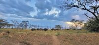 79 Lake Nakuru Nationalpark