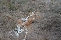 Walk auf dem Gelände der Sandai Farm