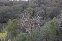 Walk auf dem Gelände der Sandai Farm