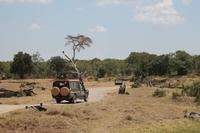 Pirsch im Sweetwaters Reservat