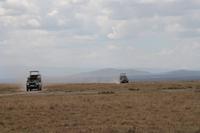 Pirsch im Sweetwaters Reservat