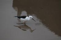 Lake Nakuru Nationalpark
