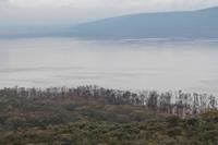 Lake Nakuru