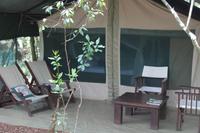 Mara Bush Camp