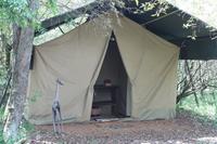 Mara Bush Camp