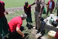 Baum pflanzen an der Schule