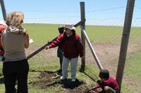 Baum pflanzen an der Schule