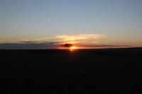 Sonnenuntergang in der Masai Mara