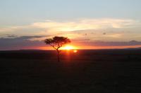 Sonnenuntergang in der Masai Mara