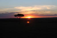 Sonnenuntergang in der Masai Mara